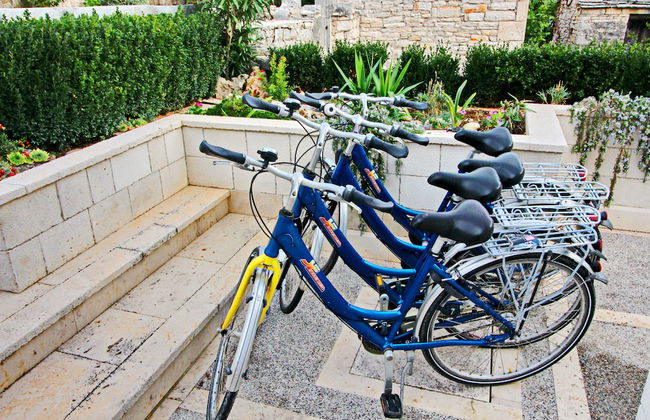 Green Garden House - Photo 34