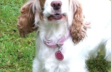 Limefield Mansion House - Foto 28