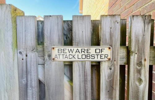 Rock Lobster - Foto 27