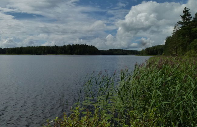 Salkolahti Vehmaanpirtti - Foto 48