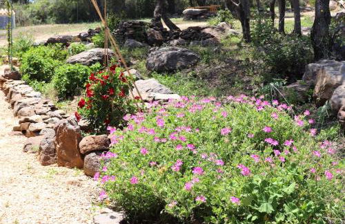 Country villa Sant' Elène - Appartamento Olivo - Foto 36