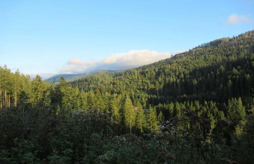 Ferienwohnung-Schoenmuenzblick-Urlaub-im-Nationalpark-Schwarzwald-Schwarzwald-Plus-inklusive - Photo 39