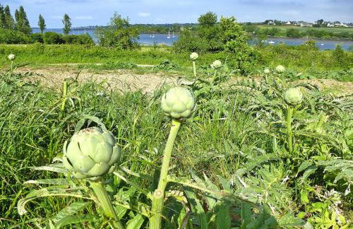 Holiday Home in Brittany Near Sandy Beaches - Foto 34