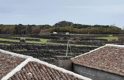 O Pomar do Gasparinho - Foto 35