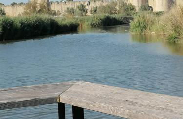 Marina à Aigues Mortes - GARD - Foto 20