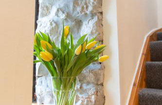 Yr Wyddfa Cottage Anglesey - Foto 22