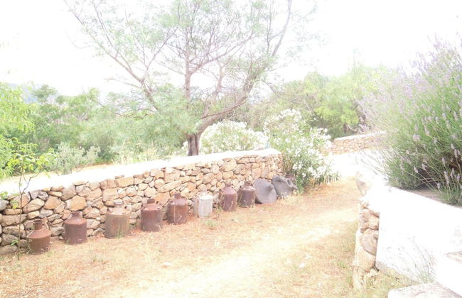 Agriturismo Camisadu - Foto 30