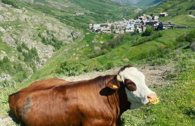 Heart of La Grave La Meije - Foto 24