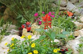 Apartment Tomecek - Foto 17