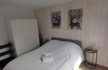 ThiLuCha Le ThiLu ALPE D'HUEZ gd domaine à Allemont - Foto 7