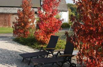 Haus Resi in Kleinich - Foto 22