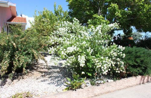 Quinta de São Marcos - Foto 6