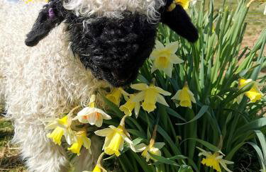 Glen Roe - 3 Bed Lodge on Friendly Farm Stay - Foto 67