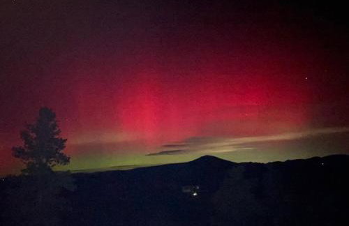 Buffalo Cabin - Foto 38