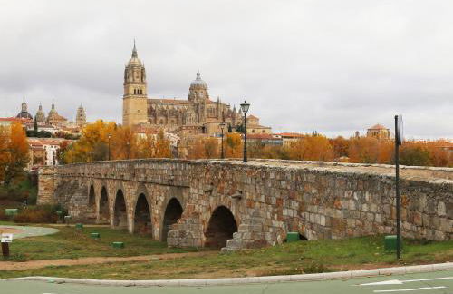 Apartamentos Turisticos Puente Romano P2 2-A - Foto 13
