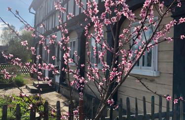 Mandauhaus Großschönau - Foto 1