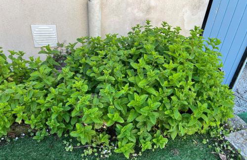 L'Echappée familiale en bord de mer - Foto 21