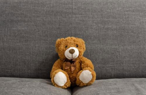 Osito Hub - Esteban Ballester - Foto 22