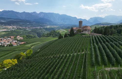 Maso Valèr - Agritur - Foto 26