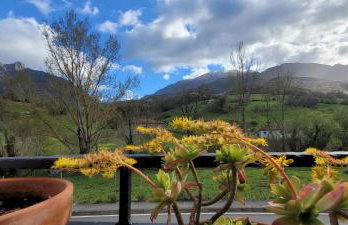 Casa Cabrales - Photo 16