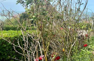Grand rez de jardin-terrasse avec vue sur la mer - 2 chambres - Photo 25