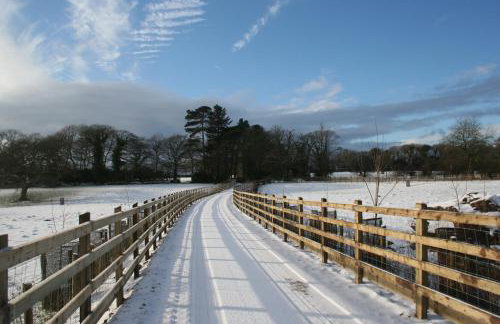 Swansea Valley Holiday Cottages - Foto 107