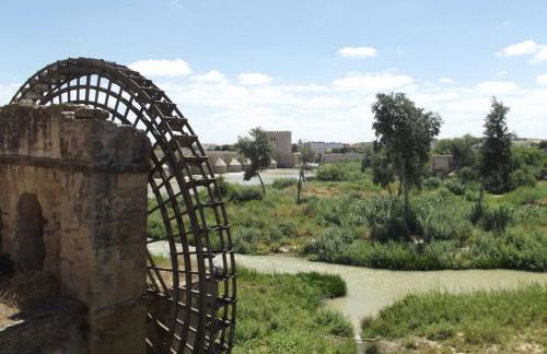 FUENSANTA 19 - Foto 47