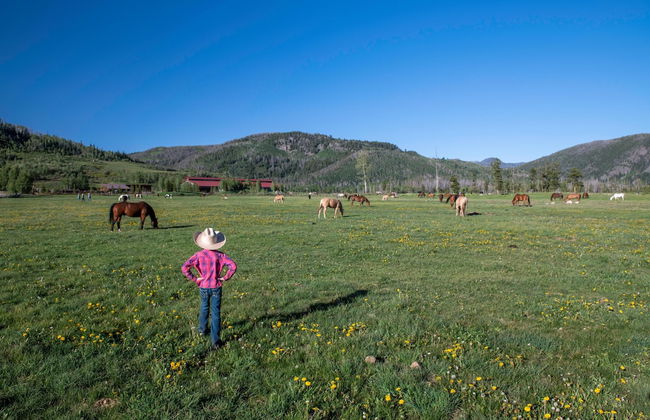 Vista Verde Ranch All-inclusive Cabin - Photo 17