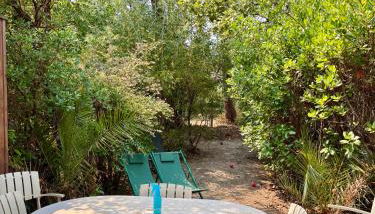 Maison cap ferret proche des plages - Foto 4