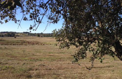 Quinta da Mouracha - Foto 30