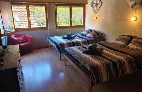 Au nid de la foret - Foto 12