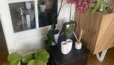 Havre de paix - Foto 4