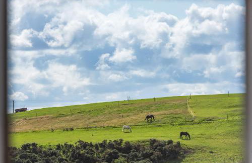 Lucklaw Steading Cottage - Foto 15