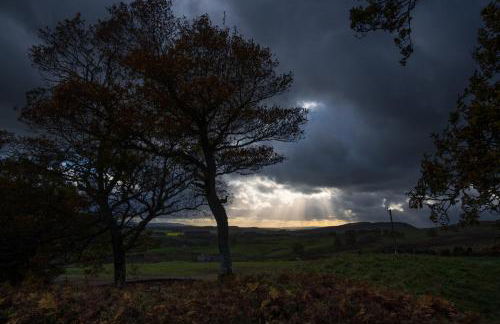 Capercaillie Cottage - Luxury converted steading - Photo 24
