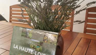 Les Ricochets - Foto 4