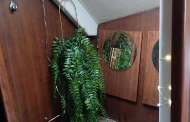 Sailboat land and sea, vegetated - Foto 16