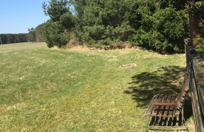 Ferienhaus Mirow-Lärz - Kamin Wald Ruhe - Foto 29