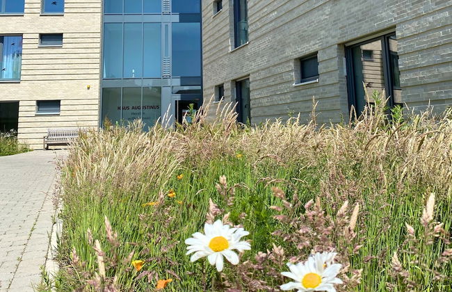 Haus Augustinus - Photo 16