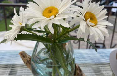 Hof zum alten Birnbaum - Foto 20