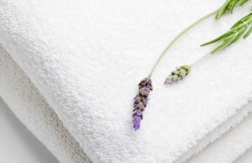 The Tranquil Den - Regent's Park - by Frankie Says - Foto 13