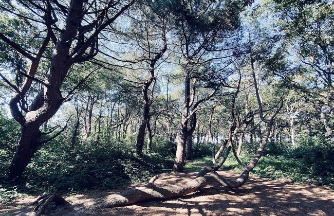 Holiday Home in Callantsoog With Garden - Photo 26