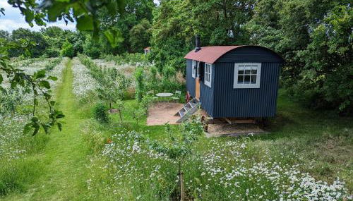 Wellbeing Orchard - Foto 2