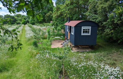 Wellbeing Orchard - Foto 2