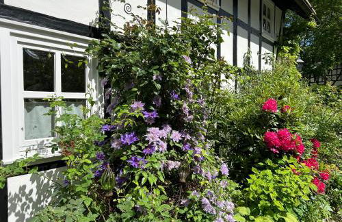 Fachwerkliebe Ornes 1 - Foto 21