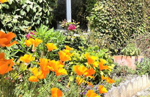 La Corniche-Maison vue mer avec grand jardin - Foto 39