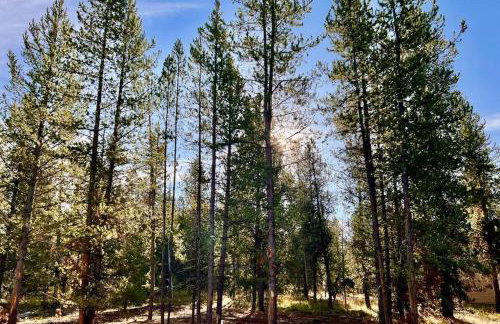 Brand NEW Cabin in the pines - Foto 17