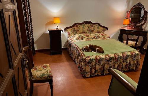 Beautiful stone house with garden - Villa il Poggio - Foto 13