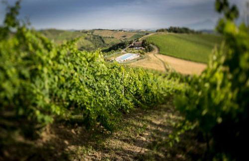 Casali Costadoro - Foto 77