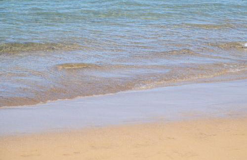 Alma Canteras - Photo 45