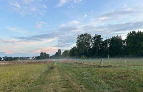 Ferienwohnung in der Schorfheide - Foto 16